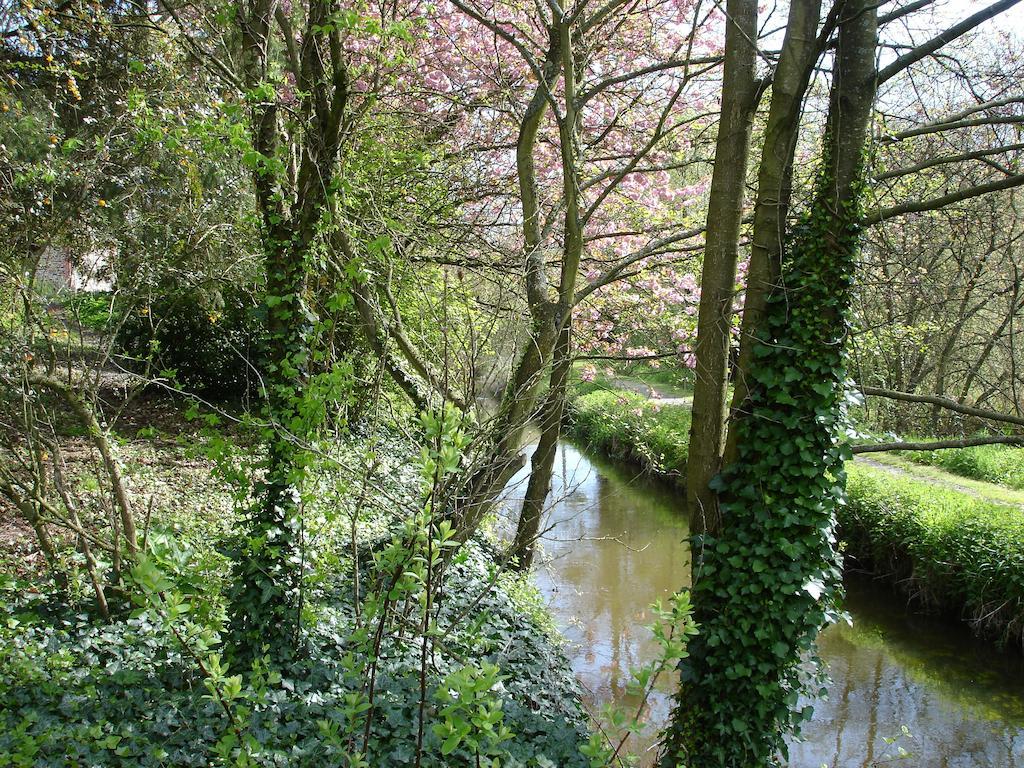 Les Vallees Du Guyoult Dol-de-Bretagne Eksteriør billede
